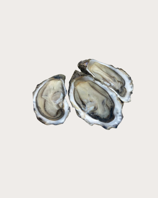 Huitres N°2 - Normandie