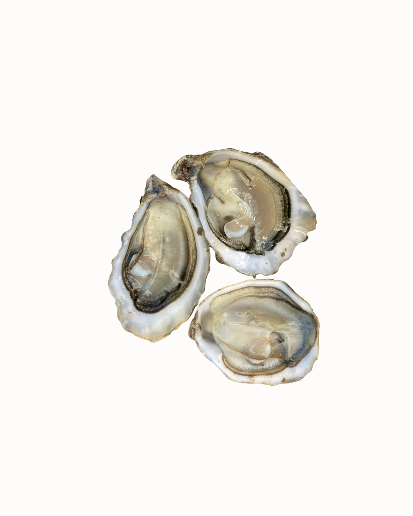 Huitres n°3 - Normandie